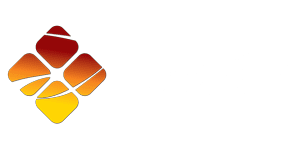 DWO_logo_300_transparent
